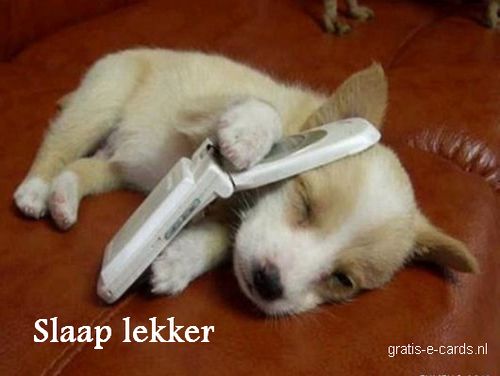 Slaap lekker