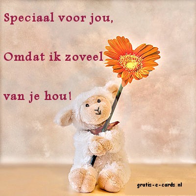 Speciaal voor jou