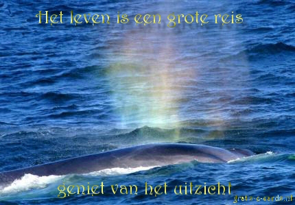 Het leven is een reis