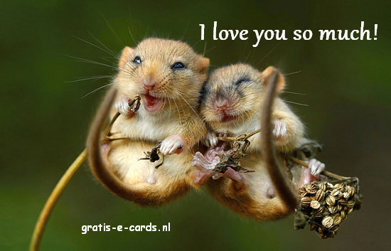 I love you so much!
