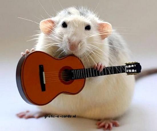 Muis met gitaar