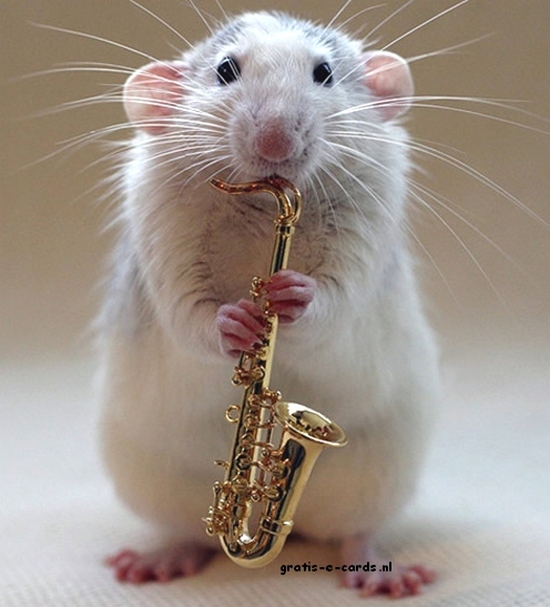 Muis met saxofoon