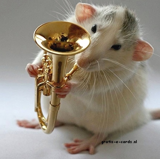Muis met blaasinstrument