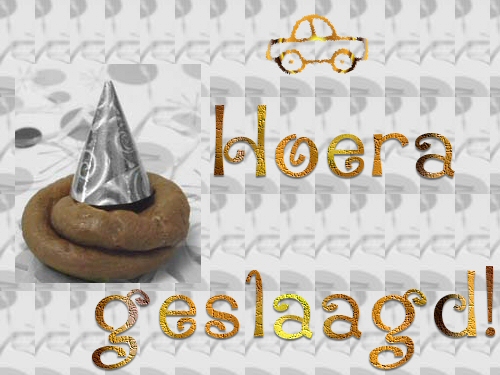 Hoera feestmuts