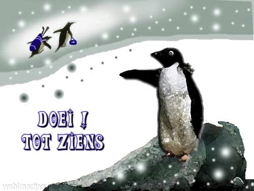Pinguin bezoek