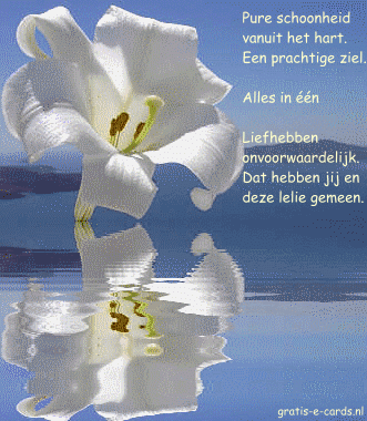 Lelie gedicht