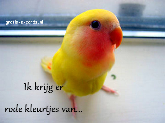 Ik krijg er rode kleurtjes van