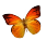 http://www.gratis-e-cards.nl/greetings/resource/skin/Dieren/icon.gif