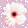 http://www.gratis-e-cards.nl/greetings/resource/skin/Flores/icon.gif